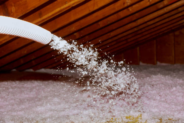 Best Energy Efficiency Insulation in Woodland Heights, PA